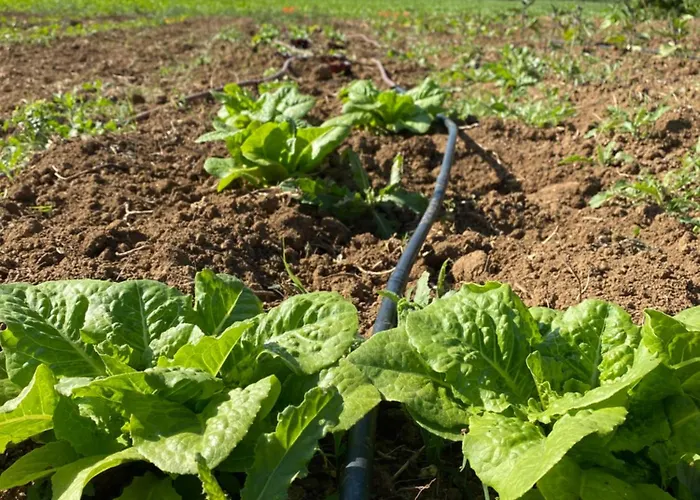 Agriturismo Rossococomero OFFERTA PRIMAVERA! Sirolo